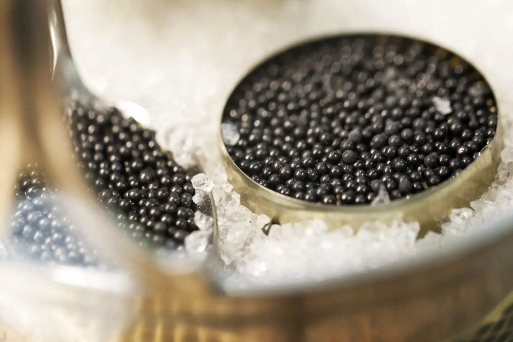 French Caviar Guide: Unveiling the Secrets of Black Gold