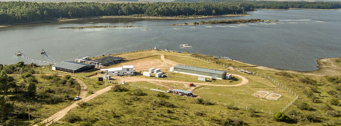 Aboutus Image