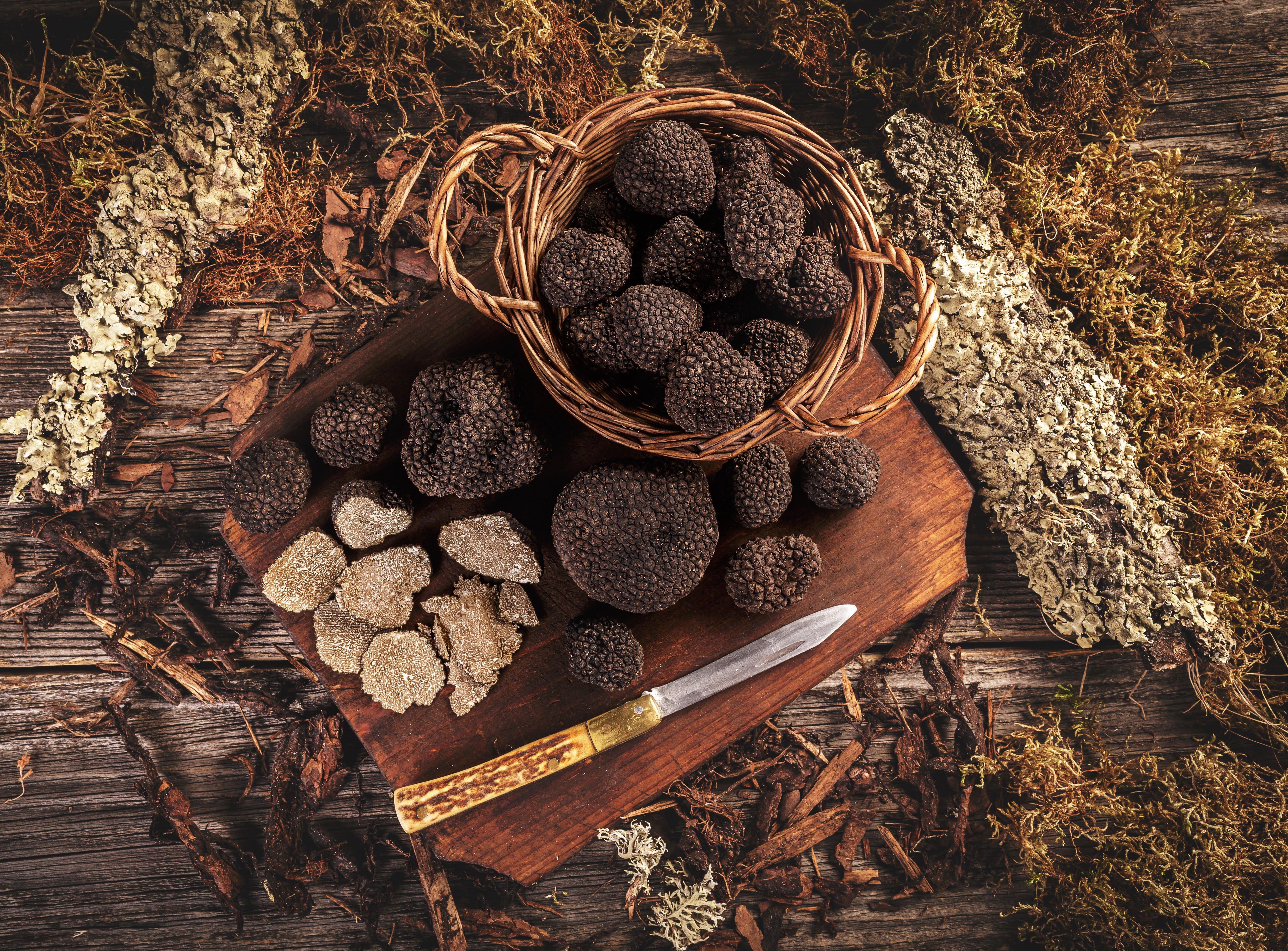 Frozen Black Truffles: The Best Solution