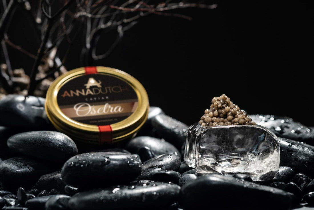 My Caviar, Anna Dutch